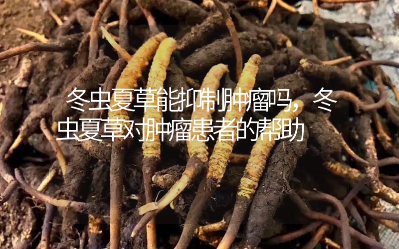 冬蟲夏草能抑制腫瘤嗎？冬蟲夏草對腫瘤患者的幫助