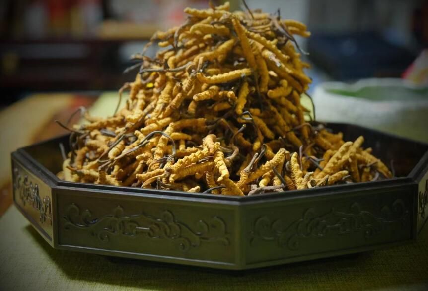 <a href=http://www.gmsign.com.cn/ target=_blank class=infotextkey>冬蟲夏草</a>