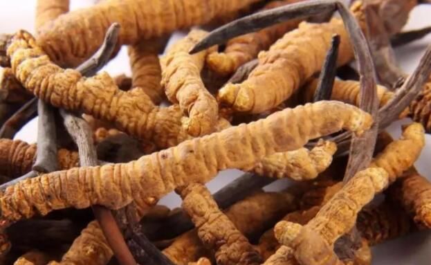 <a href=http://www.gmsign.com.cn/chifa/ target=_blank class=infotextkey>冬蟲夏草的吃法</a>