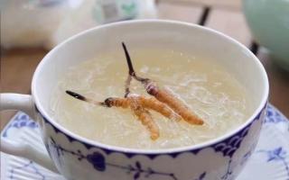 冬蟲夏草女性美容養顏的好助手