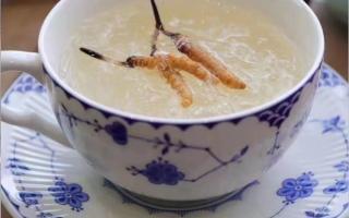 新鮮冬蟲夏草豐富的做法，為你獻上！