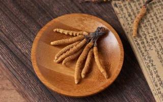 人工種植的冬蟲夏草品質(zhì)究竟怎么樣？