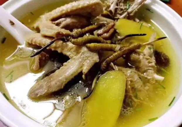 冬蟲夏草和哪些食材可以一起煲湯？