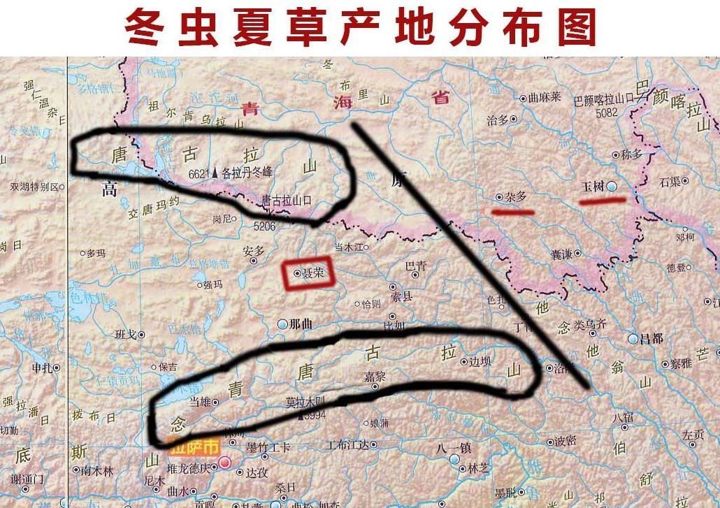 冬蟲夏草20大產區