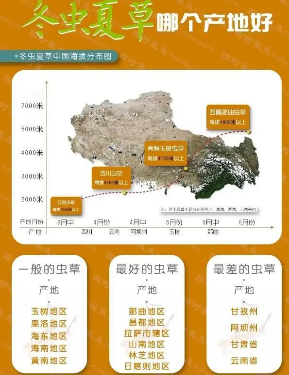 冬蟲夏草20大產區