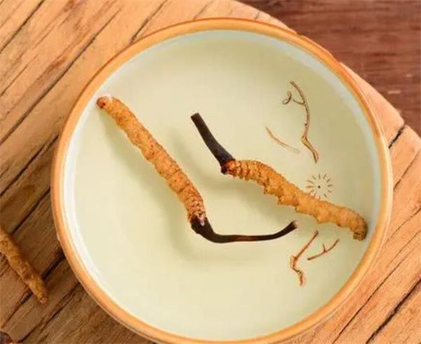 冬蟲(chóng)夏草可以泡水喝嗎？冬蟲(chóng)夏草泡水的步驟