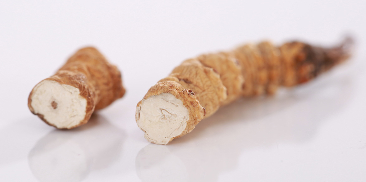 那曲冬蟲夏草泡茶的養生之道