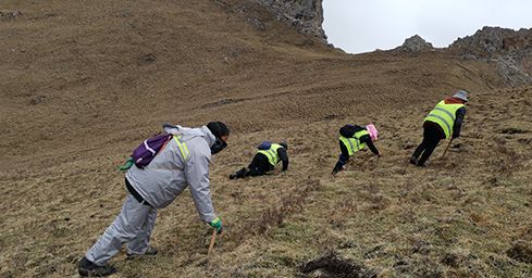 <a href=http://www.gmsign.com.cn/sdph/zf/ target=_blank class=infotextkey>珍峰冬蟲夏草</a>：源自世界屋脊的養生瑰寶