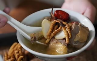 冬蟲夏草搭配有道，滋養(yǎng)肺部效果妙