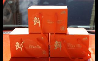 當冬蟲夏草邂逅橘色包裝：奢華與文化的交融