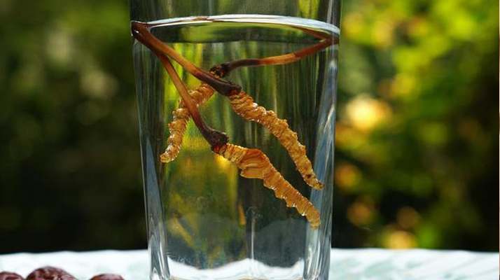 <a href=http://www.gmsign.com.cn/xinxian/ target=_blank class=infotextkey>鮮冬蟲夏草</a>怎么泡好吃？這些配方讓滋補(bǔ)更有滋味