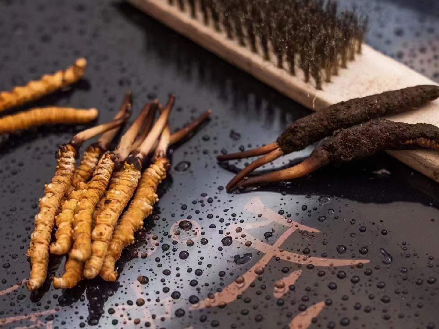 冬蟲夏草鮮草清理全指南：洗凈滋補好食材