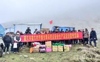 西藏加查：蟲草采挖季 黨群同心共繪豐收畫卷