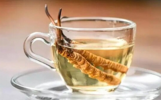 冬蟲夏草泡水一次幾根