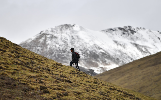 雪域珍寶：探秘鮮那曲冬蟲(chóng)夏草的獨(dú)特魅力