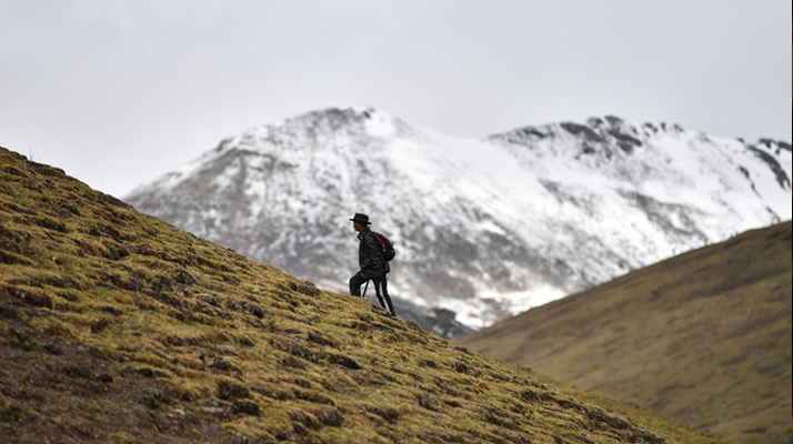 冬蟲夏草適合在什么地方生長