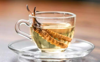 一杯蟲草水，健康新滋味：冬蟲夏草泡水喝的奇妙功效