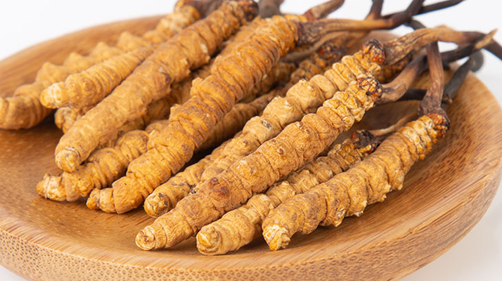 冬蟲夏草產品多少錢