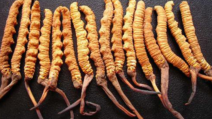 一克<a href=http://www.gmsign.com.cn/jiage/ target=_blank class=infotextkey>冬蟲夏草多少錢</a>？解密天價背后的價格密碼