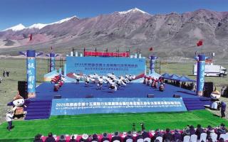 極地那曲奏響蟲草產業與文旅融合新樂章