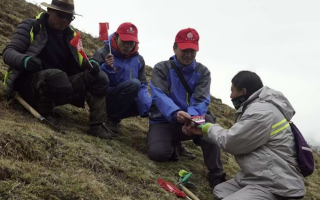 冬蟲夏草：把握最佳采摘季，守護自然饋贈