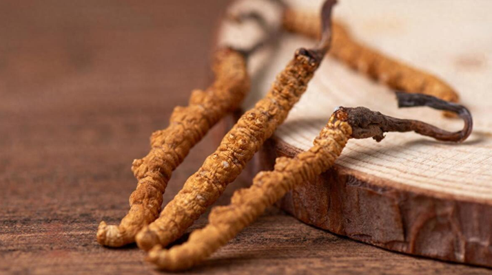 純野生<a href=http://www.gmsign.com.cn/jiage/ target=_blank class=infotextkey>冬蟲夏草價格</a>剖析：多因素交織下的價值體現(xiàn)