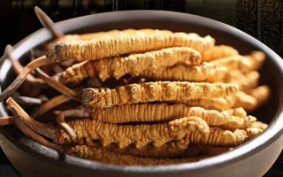 冬蟲夏草食用方法與用量指南：科學滋補的關鍵把控