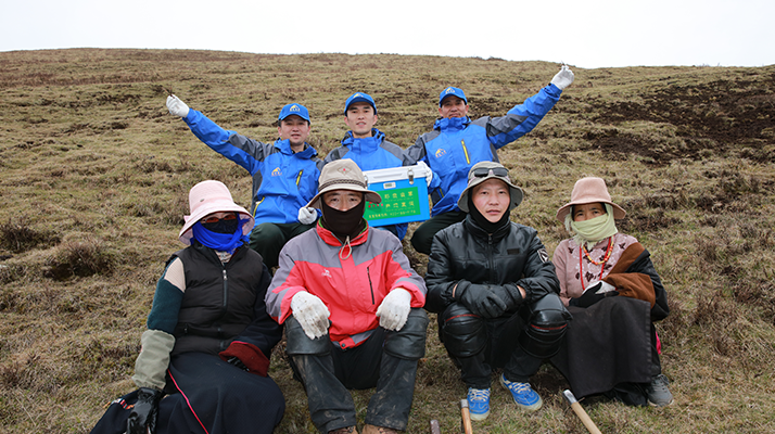 西藏冬蟲夏草的主要產地：品質與地域特色詳解