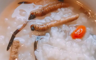 冬蟲夏草適合哪些人群？精準(zhǔn)匹配與禁忌提醒