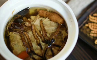 冬蟲夏草正常燉幾分鐘？掌握時長讓滋補更高效