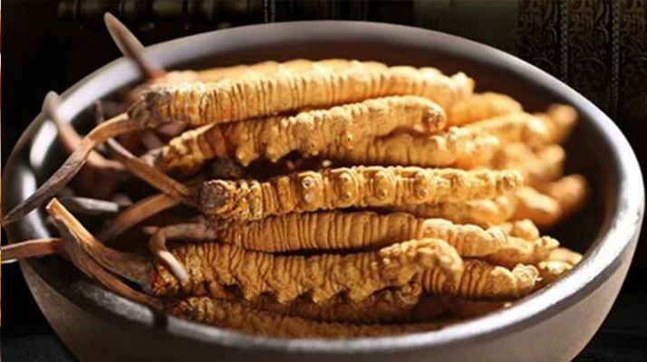 冬蟲(chóng)夏草效果好不好用？科學(xué)與實(shí)踐視角下的全面解析