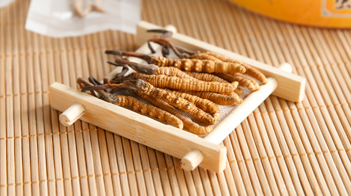  冬蟲夏草效果好不好用？看適用場景與人群，理性看待才不踩坑