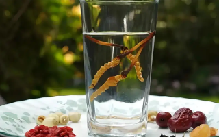 冬蟲夏草能空腹泡水喝嗎？不同人群需區別對待