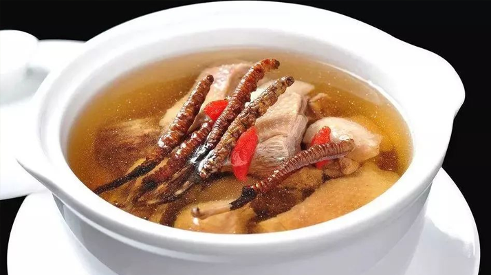 冬蟲夏草湯的正確熬制方法，營養與美味兼得