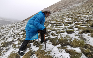 西藏挖冬蟲夏草在什么時候？產區與時間全攻略