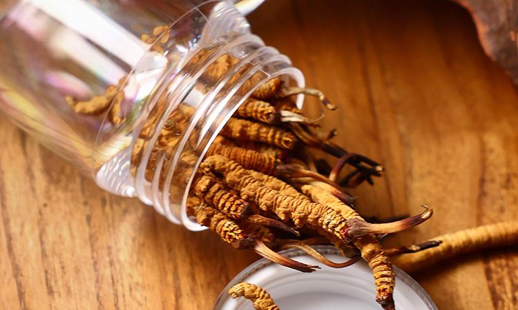 <a href=http://www.gmsign.com.cn/jiage/ target=_blank class=infotextkey>冬蟲夏草多少錢</a>一條 