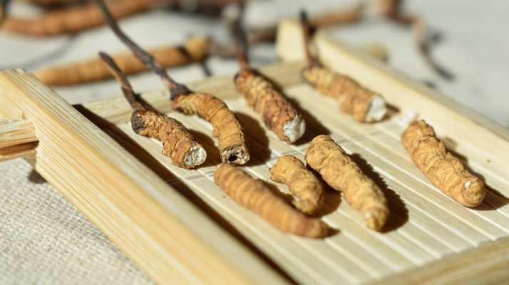 斷的<a href=http://www.gmsign.com.cn/ target=_blank class=infotextkey>冬蟲夏草</a>一克啥價 