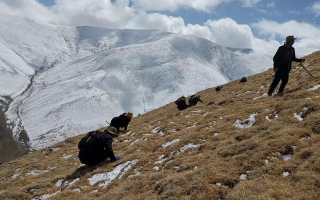 個人采集證 + 企業(yè)收購許可的申請材料清單與辦理時間表