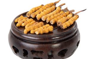 冬蟲夏草的頭期斷草好嗎？有沒有營養價值？