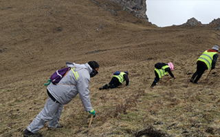 非法采挖蟲草的常見誤區、合規清單、采集證辦理流程與價值鑒定要點