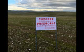 高原之上，蟲草共生；守護(hù)生態(tài)，東強(qiáng)堂與你同行