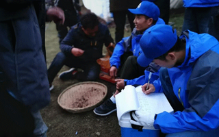 2026 年 1-3 月核心產區蟲草采購價格區間與檢測必選項目清單