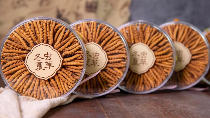 冬蟲(chóng)夏草價(jià)格暴跌