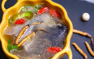 那曲冬蟲夏草辨別全指南｜教你避開市場陷阱，認準正宗珍品